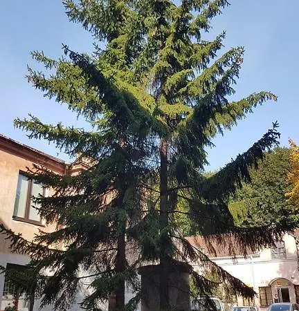 Διαμέρισμα Gertruda Small *